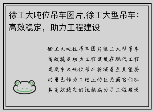 徐工大吨位吊车图片,徐工大型吊车：高效稳定，助力工程建设