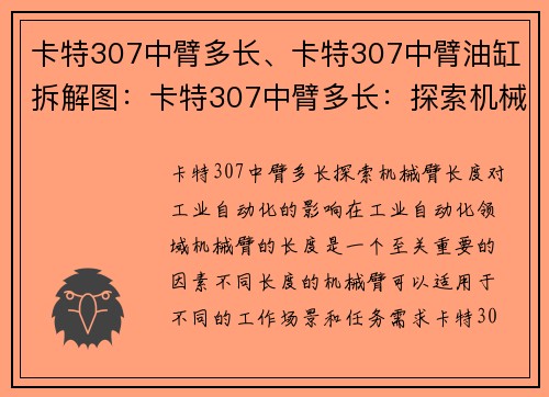 卡特307中臂多长、卡特307中臂油缸拆解图：卡特307中臂多长：探索机械臂长度对工业自动化的影响