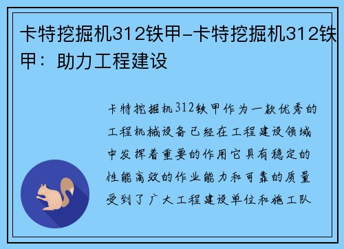 卡特挖掘机312铁甲-卡特挖掘机312铁甲：助力工程建设